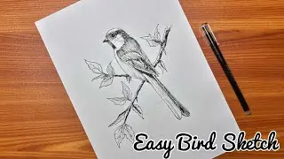 How to Draw Bird | Easy Bird Sketch for Beginners | Pen Sketch #penart#art #sketch #drawing 