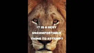 Break Limits and Transform Your Life