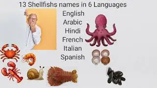 shellfish names in six languages ,English,Arabic, hindi, Spanish, French, Italian #shellfish #chef