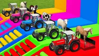 TRANSPORTING &  COWS , DOGS WITH TRUCKS! Farming Simulator 22