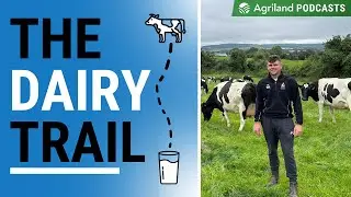 Pure British Friesian herd paving the way in Co. Tipperary | The Dairy Trail Podcast