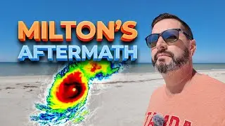 What's Happening in Tampa Bay's&nbsp;Beach Communities&nbsp;Post Hurricanes?