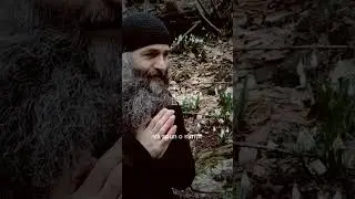 O minune frumoasa -Parintele Pimen Vlad-  #familie #spiritualitate