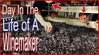 Day In The Life Of A New Jersey Winemaker & Vineyard