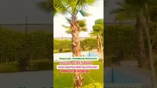 Farmhouse For sale in noida | Beautiful Land Space Spot Registry ke Farmhouse | Best Investment