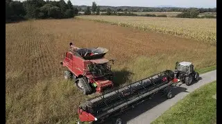 Sojaernte 2022 / CASE IH 9250 AFS