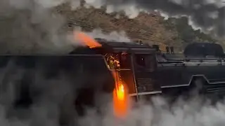 【2025.11.29＆30】 秋から冬へ　D51-200号機 【SLやまぐち号】