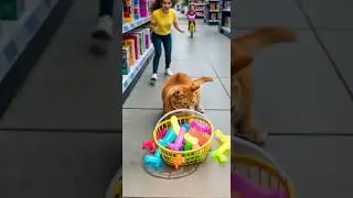 🛒 🐱Cute cat buys rainbow neon Godzilla toy playful surprise #cattoys #Godzilla #neon