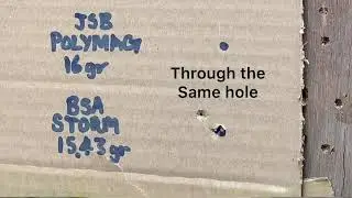 FX Wildcat MK2 MAG and SINGLE SHOT LOADER pellet/grouping test