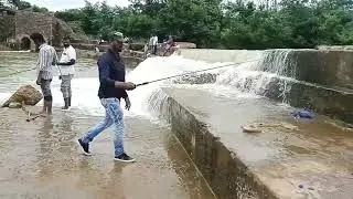 Beautiful Place Catching Telangana Fishing Bam Fish🎣🎣