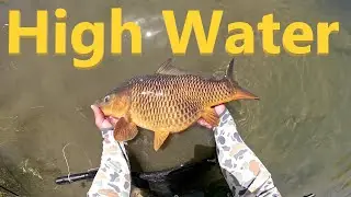 High water Fly Fishing #flyrod #flyfishing #trout #bass #carp #nature #fishing #fish #outdoors