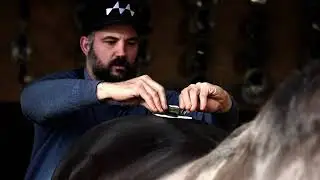 Equine Athlete Program