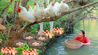 Women Catch Chicken egg at river - Cooking soup Chicken egg for dog Eating delicious 4K