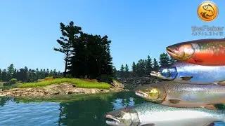 Trolling for Salmons | Surprise Lure is FIRE! | Finland | Fisher Online | Ep 80