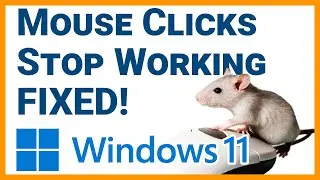 How to Fix Windows 11 Mouse Clicks Randomly Stop Working (Make Sure  to Reboot After!)