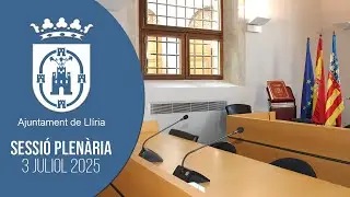 Sessió  Plenària 3 de juliol de 2025