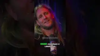 As Seis Grandes Extin&ccedil;&otilde;es de Massa e Seus Impactos