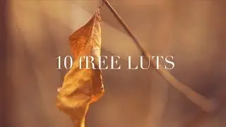 Depth Of Field -10 FREE LUT PRESETS TO DOWNLOAD | Adobe Premiere PRO CC 2018