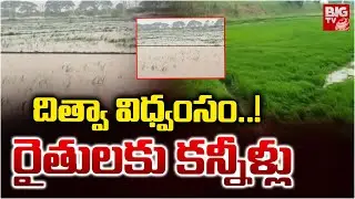 దిత్వా విధ్వంసం..! | Nellore Dithwa Cyclone Effect Hug Crop Loss | BIG TV
