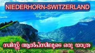 Switzerland,A Day at Niederhorn: Stunning Views and Alpine Adventures