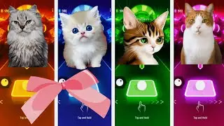Кот Арчи🆚Кот Хиса🆚Кошка Сильвия🆚Кот Хантер - Tiles Hop.🎶 Кто победит?