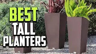 Top 10 Best Tall Planters in 2025 Reviews