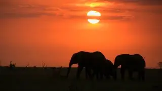 Elephant Coast - For the romantics, find your hideaway here - KZN Has it All