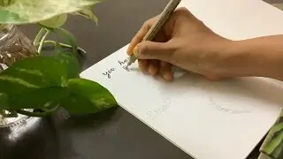 2021 Bullet Journal Setup for a beginner