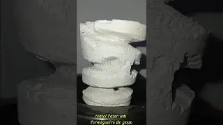 Formigueiro de gesso