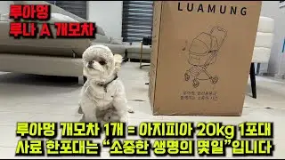 개모차 1대= 사료 20KG 1포 기부/ 이건 쇼핑이 아닙니다.아이들을 지킬수 있는 가장 쉬운 방법/  1월 23일 저녁 소통 라이브 방송