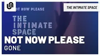 Not Now Please - Gone