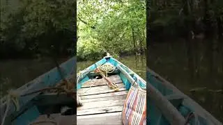 Narrow River | Fishing Point | Blog | Andaman and nicobar islands #travel #fishing #andaman #tourism