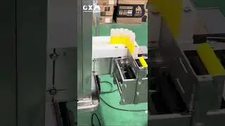 30ml slim chubby gorilla bottle filling capping and labeling line#30ml #fillingmachine