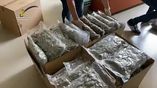 Un italiano detenido y requisados casi 60 kilos de marihuana envasada