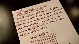 Noodler's Beaver Ink Review