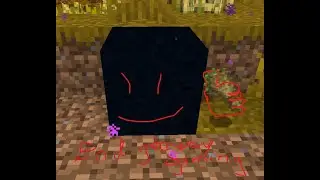 How to make Custom Teleport Waypoints with End Gateways in Minecraft (In Vanilla, no Mods!)