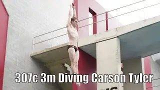Carson Tyler Dominates: Crushing the 307C Dive | Big Ten Championships 2024 Finals!