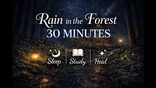 Rainy Cabin Path at Night | Sleep &bull; Study &bull; Healing (30 Minutes) | Forest Rain 9