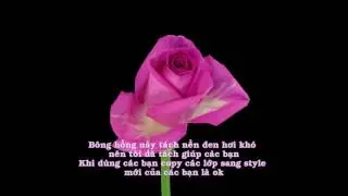 Free download Video Background Proshow - Rose Blooming