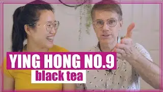 Tea Tasting Unleashed: Delving into the Intricate Flavors of Black Tea | Ying Hong No.9 | ZhenTea