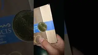 pope francis coin