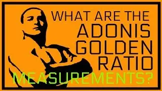 Adonis Golden Ratio Measurements | Adonis Golden Ratio Sizes