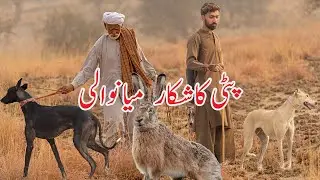 Hare Hunting Miawali Highlights / Patti ka Shikar Kalabaghz @ExplorePotohar