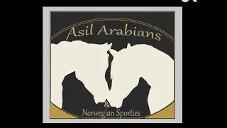 ASIL ENCORE WHEN A PLAIN BROWN (BLACK OR CHESTNUT) WRAPPER WON'T DO!!! STAND OUT IN THE CROWD!