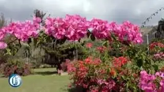 PICTURE THIS: Beautiful Hope Gardens