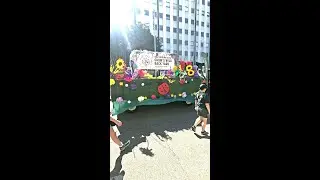 Summit Metro parks 200th Anniversary Parade walk video.