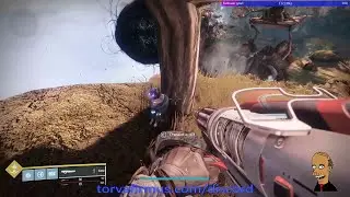 Destiny 2   Offering Small Gift To Gardens of Esila Cat