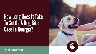 How Long Does It Take To Settle A Dog Bite Case In Georgia? Find Out Here!