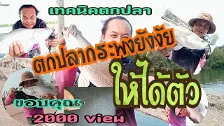 ep4. (เทคนิคตกปลา) วิธีตกปลากระพงธรรมชาติ.ตกยังงัยให้ได้ตัว Technique of sea bass fishing