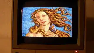 Commodore 65 Commodore C65 ,2017.12.11